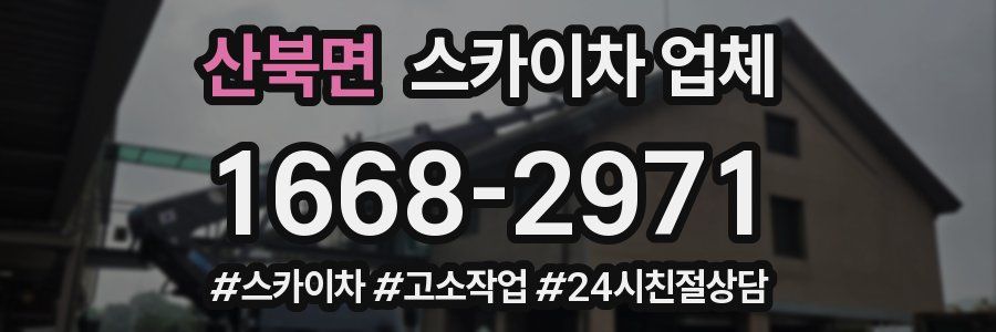 산북면 스카이차 업체