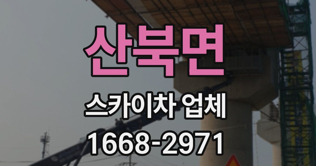 산북면 스카이차 업체