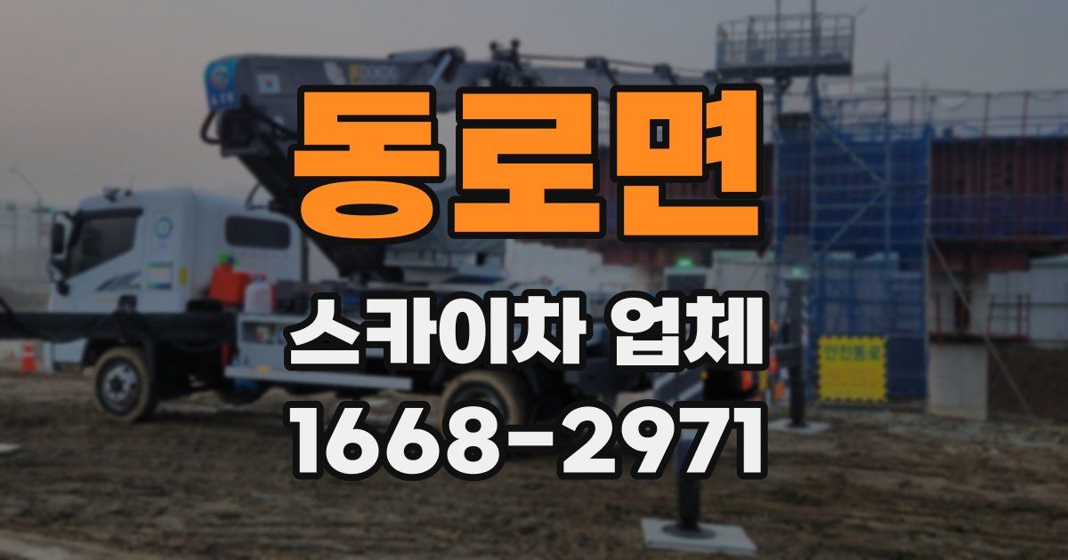 동로면 스카이차 업체