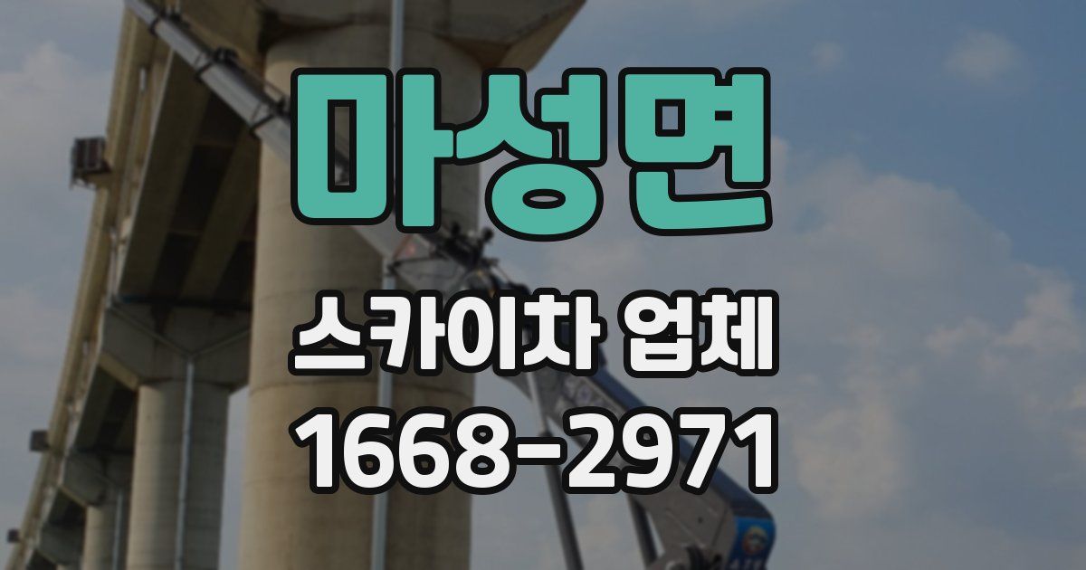 마성면 스카이차 업체