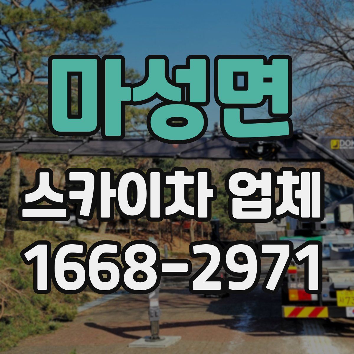 마성면 스카이차 업체
