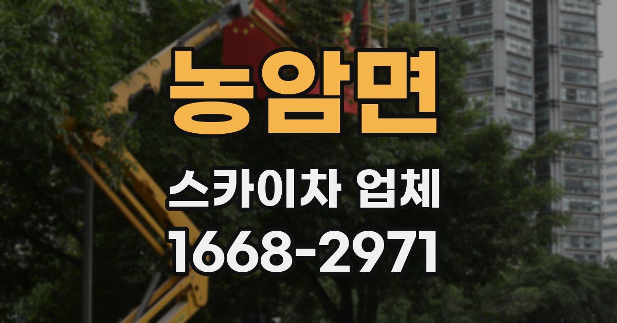 농암면 스카이차 업체