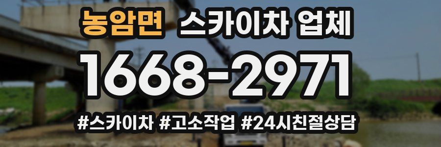 농암면 스카이차 업체