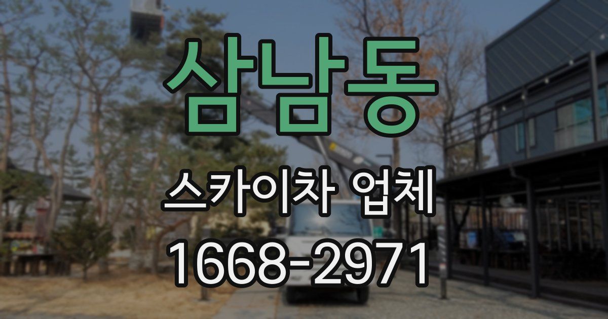 삼남동 스카이차 업체