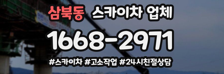 삼북동 스카이차 업체