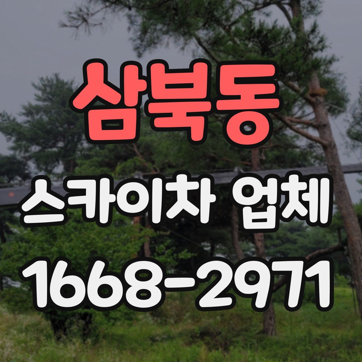 삼북동 스카이차 업체
