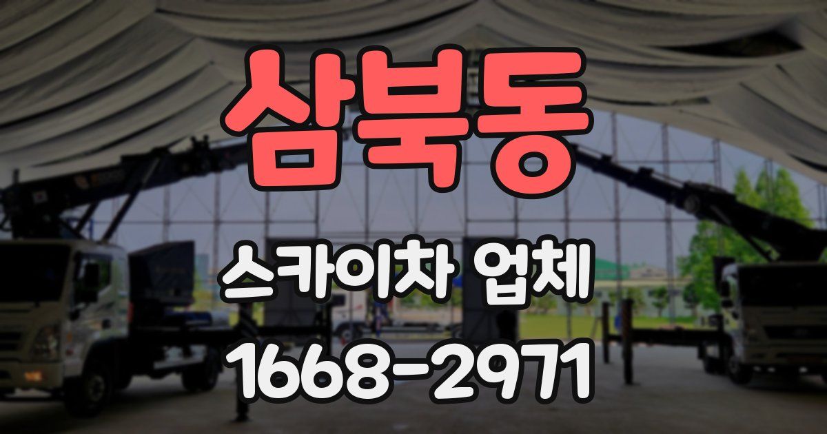 삼북동 스카이차 업체