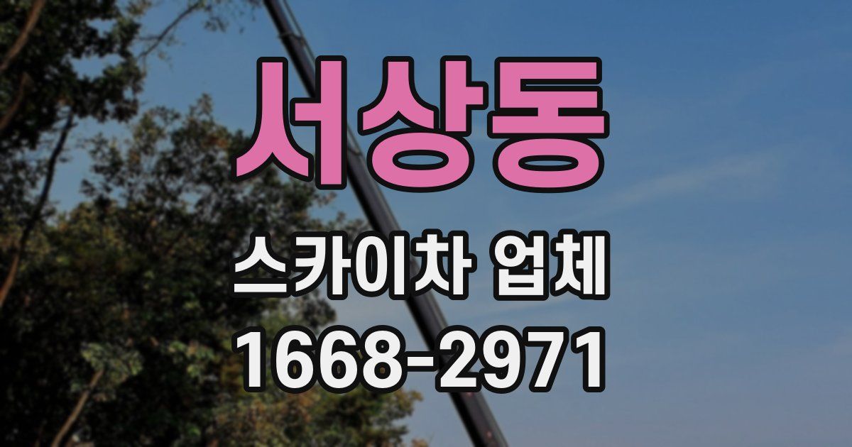 서상동 스카이차 업체