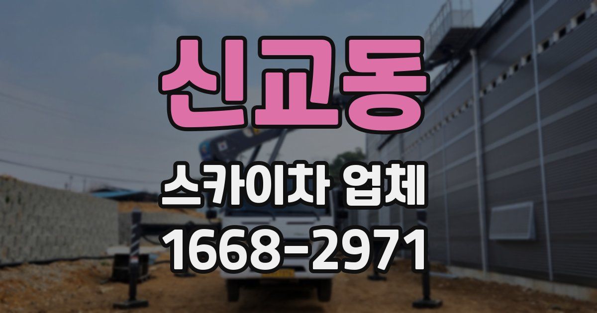 신교동 스카이차 업체