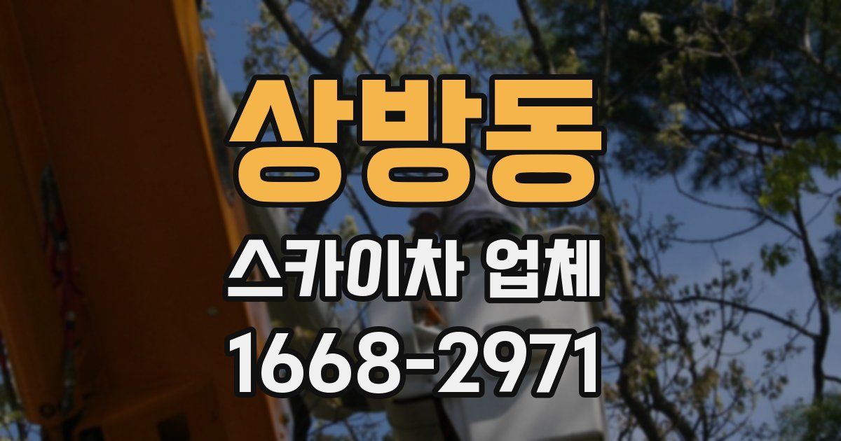 상방동 스카이차 업체