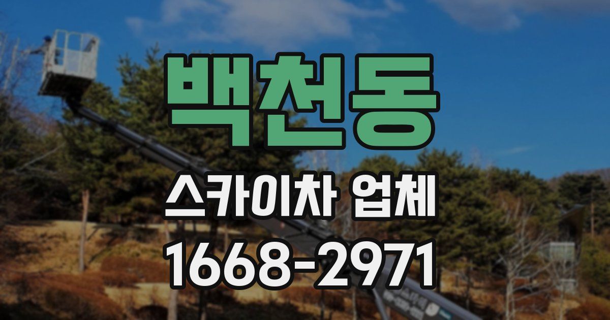 백천동 스카이차 업체