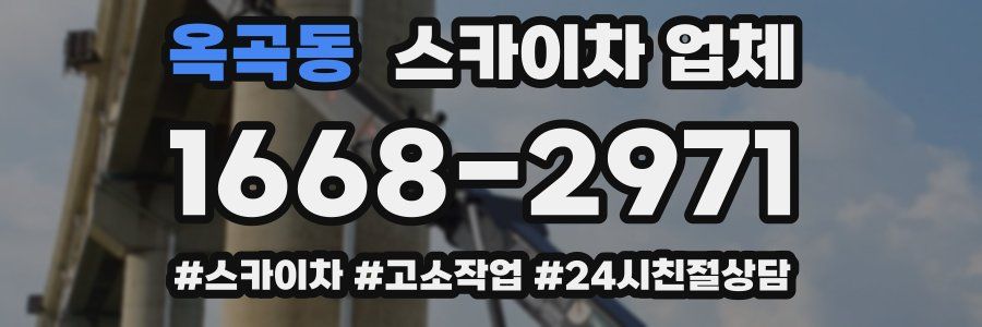 옥곡동 스카이차 업체