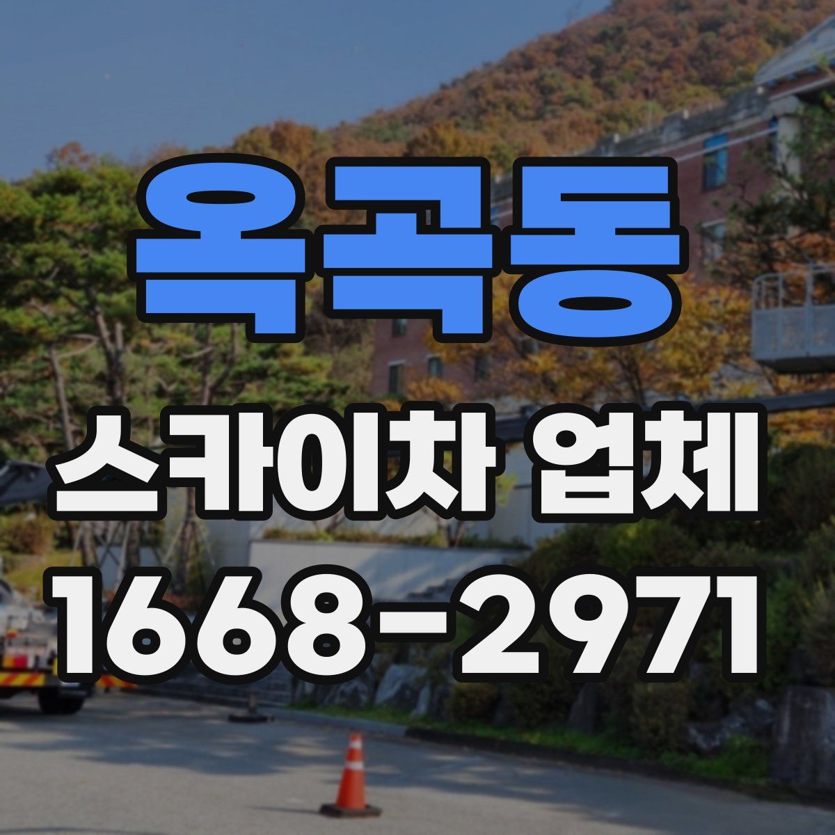 옥곡동 스카이차 업체