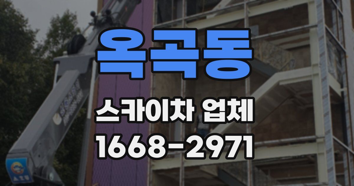옥곡동 스카이차 업체