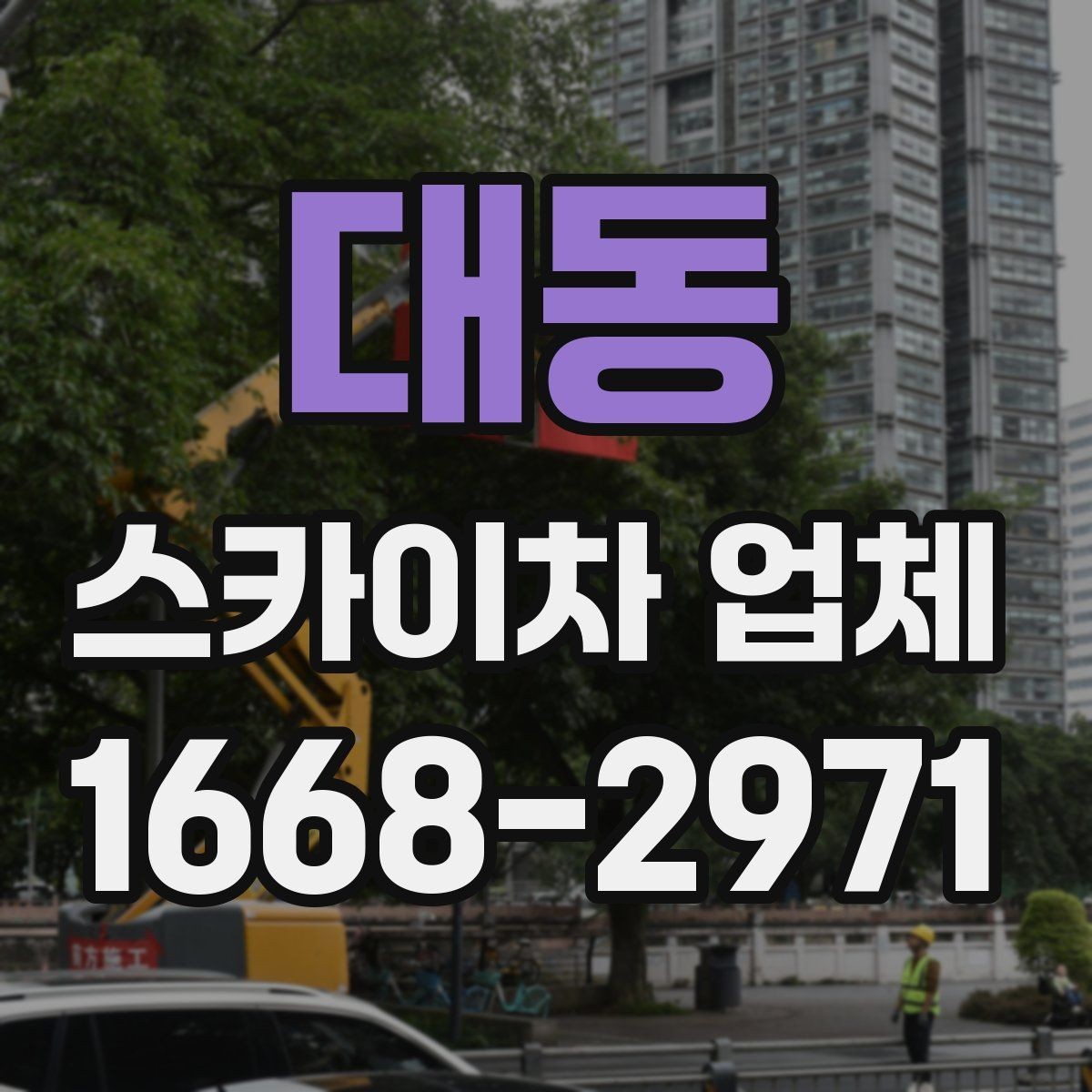 대동 스카이차 업체 이용 시 날씨 변수와 주의점