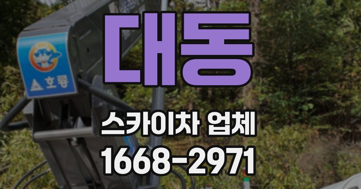 대동 스카이차 업체