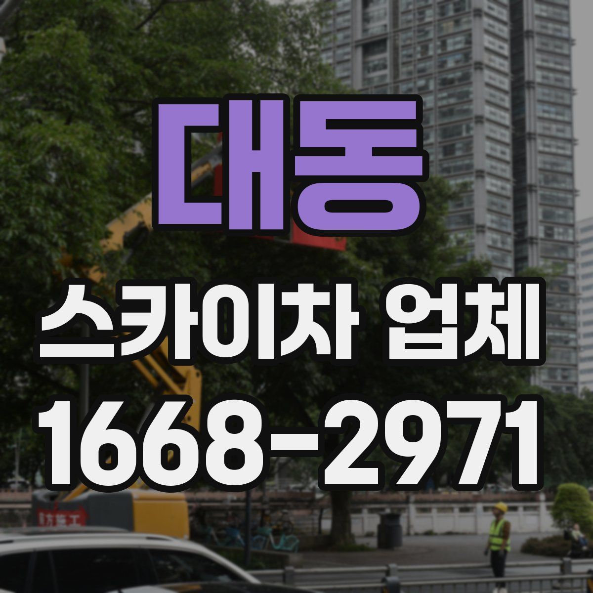 대동 스카이차 업체