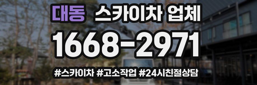 대동 스카이차 업체