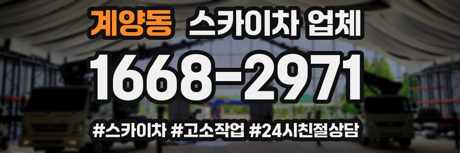 계양동 스카이차 업체