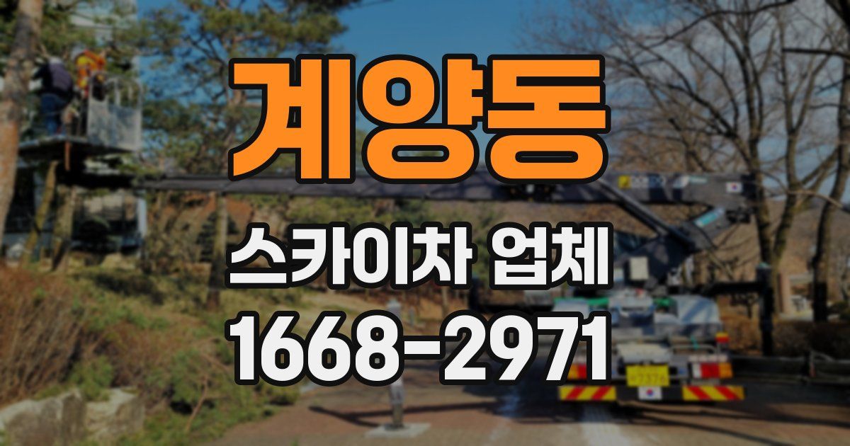 계양동 스카이차 업체