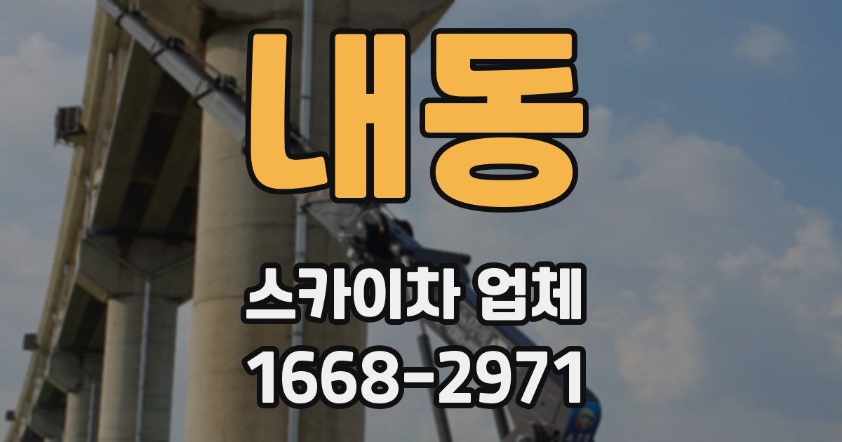 내동 스카이차 업체
