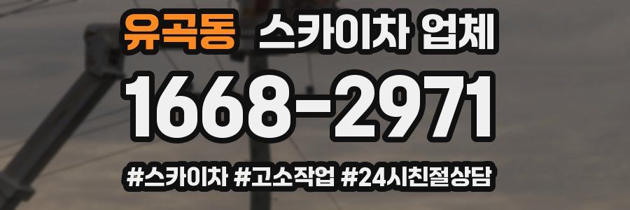 유곡동 스카이차 업체