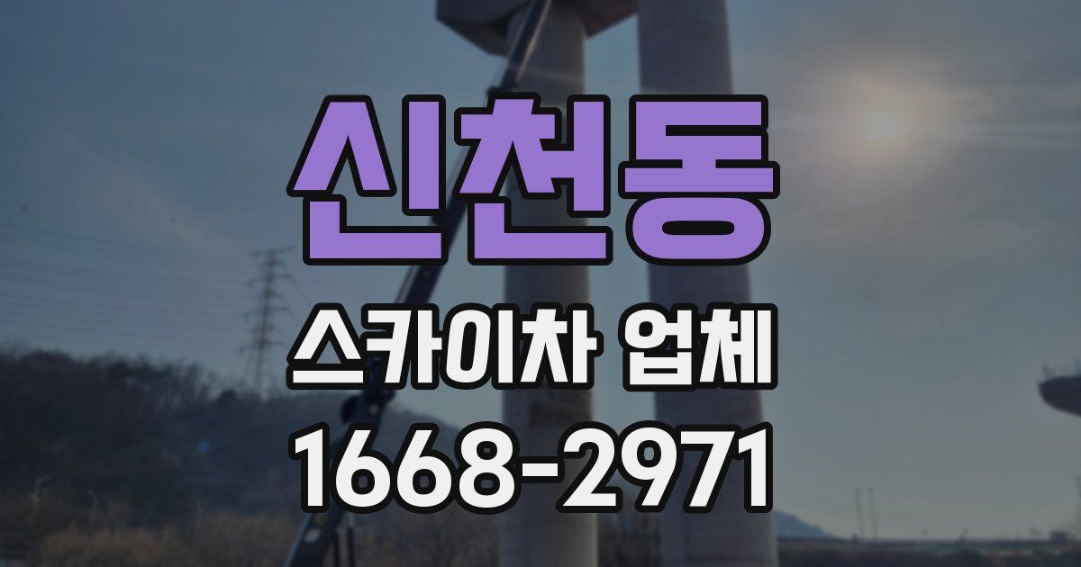 신천동 스카이차 업체