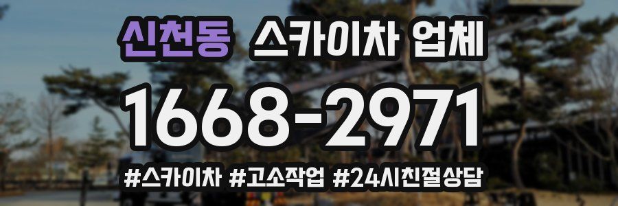 신천동 스카이차 업체