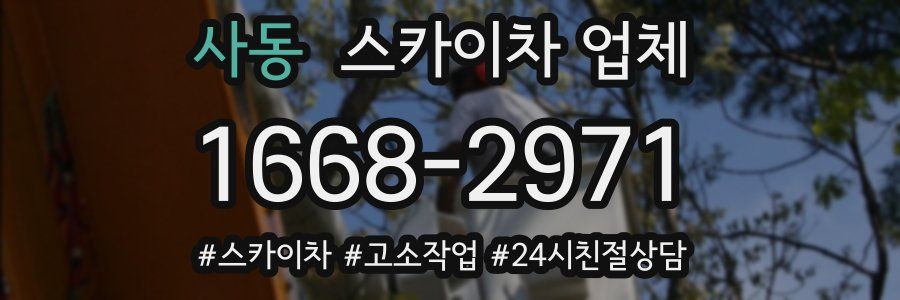 사동 스카이차 업체