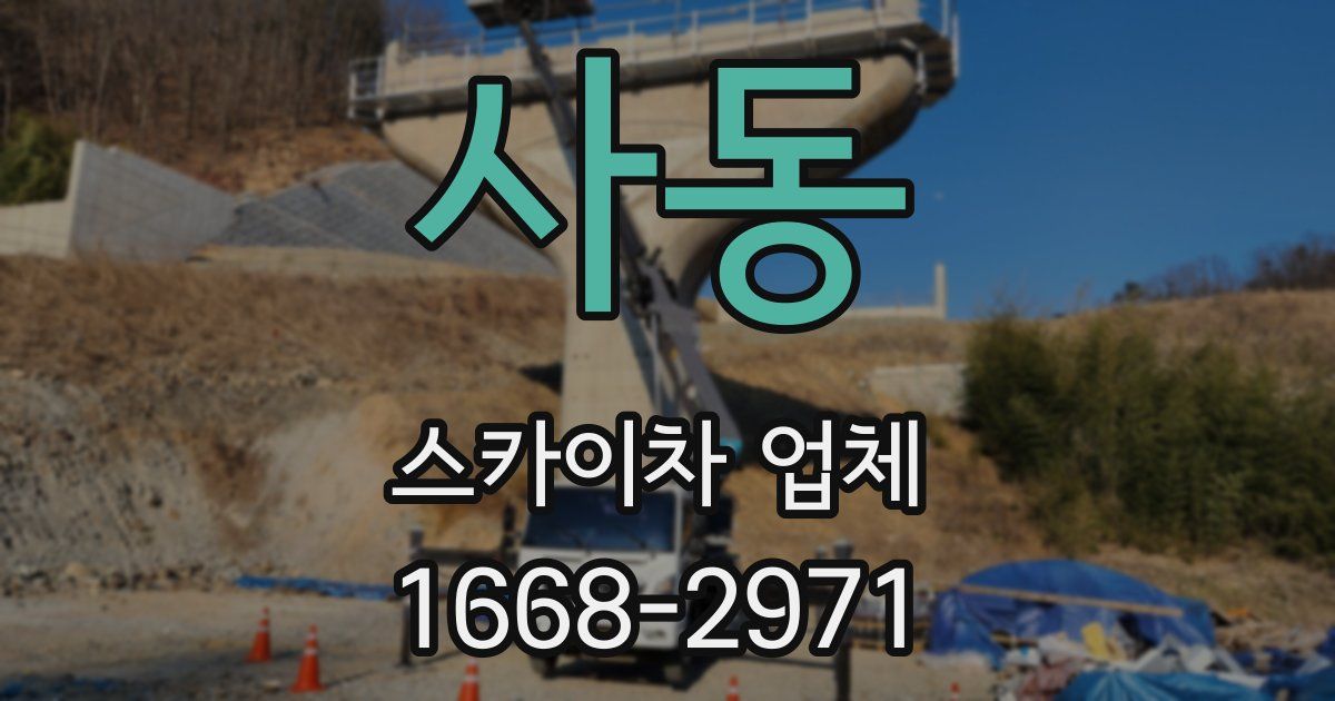 사동 스카이차 업체