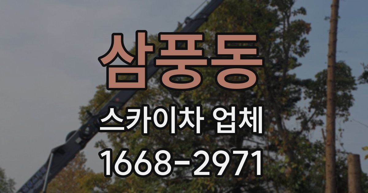 삼풍동 스카이차 업체