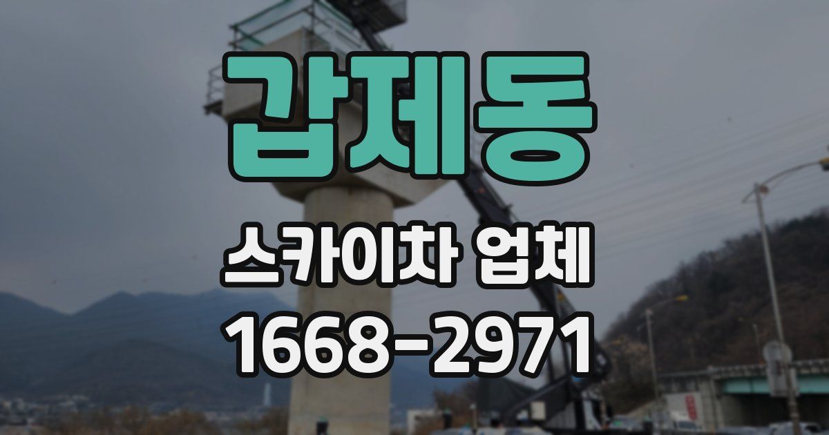 갑제동 스카이차 업체