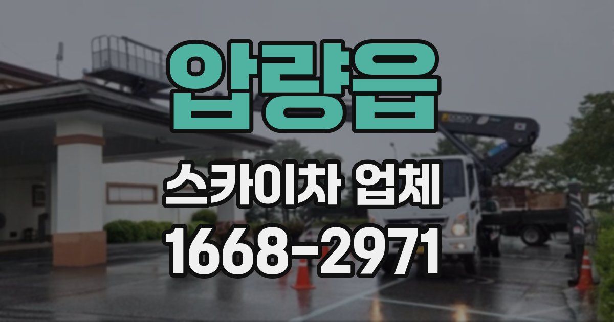 압량읍 스카이차 업체