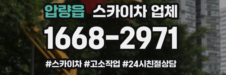 압량읍 스카이차 업체