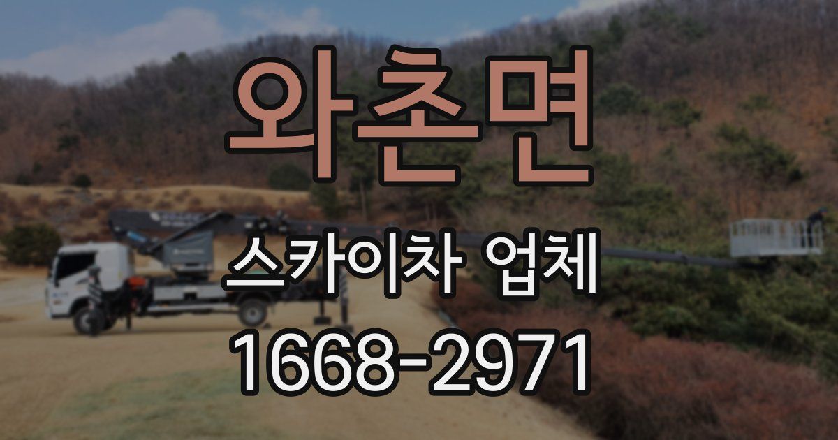와촌면 스카이차 업체