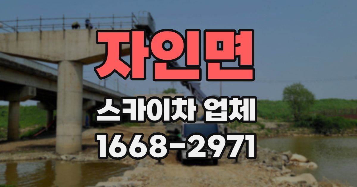 자인면 스카이차 업체