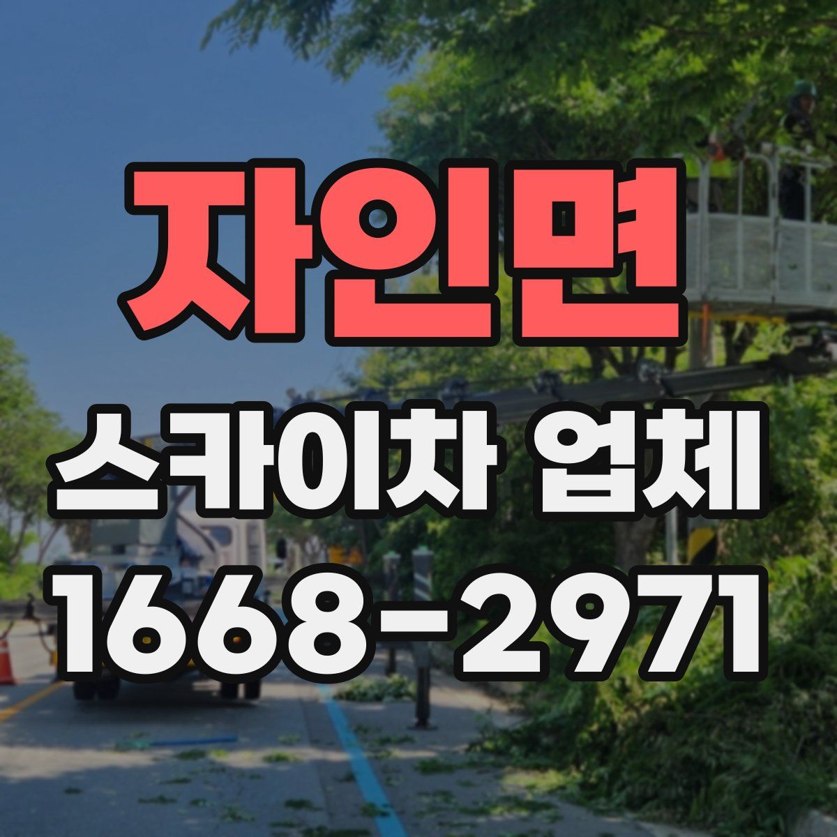 자인면 스카이차 업체