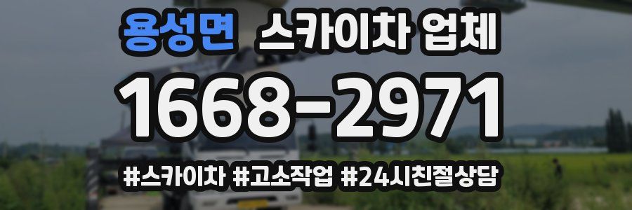 용성면 스카이차 업체