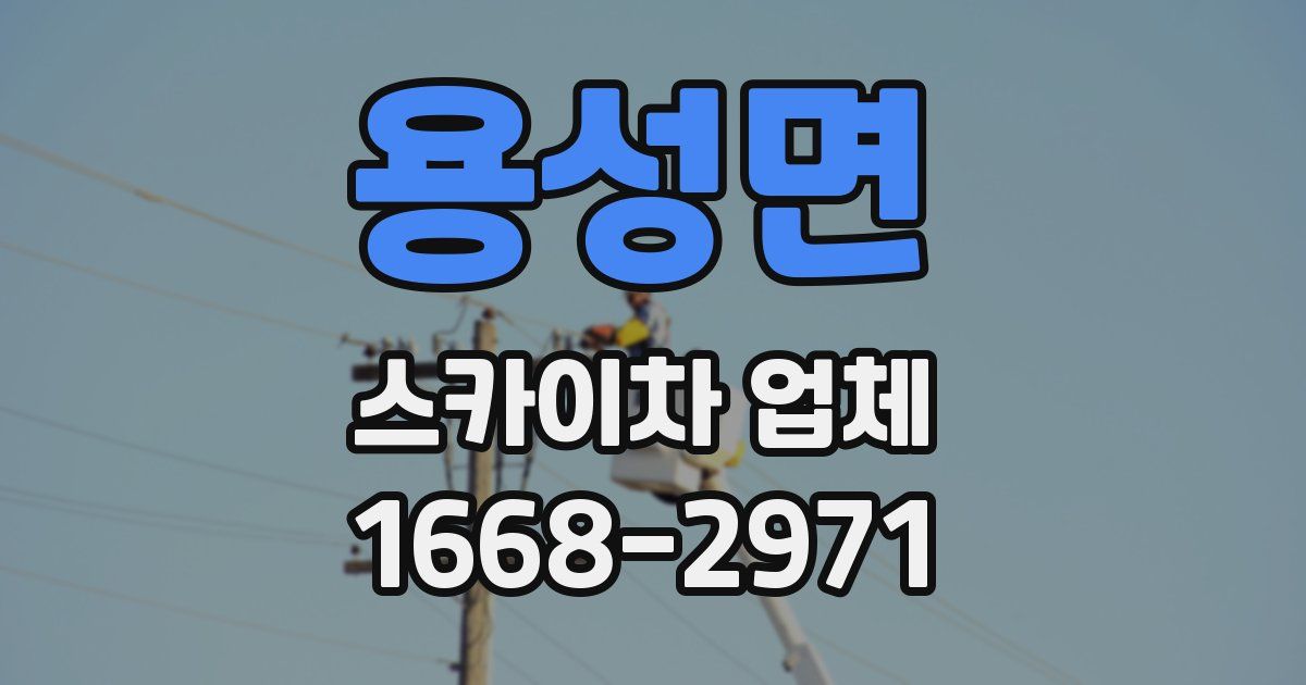 용성면 스카이차 업체