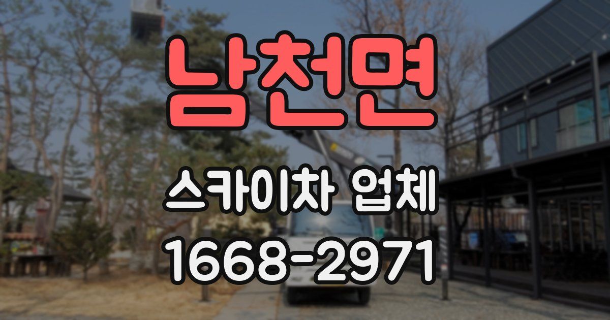 남천면 스카이차 업체