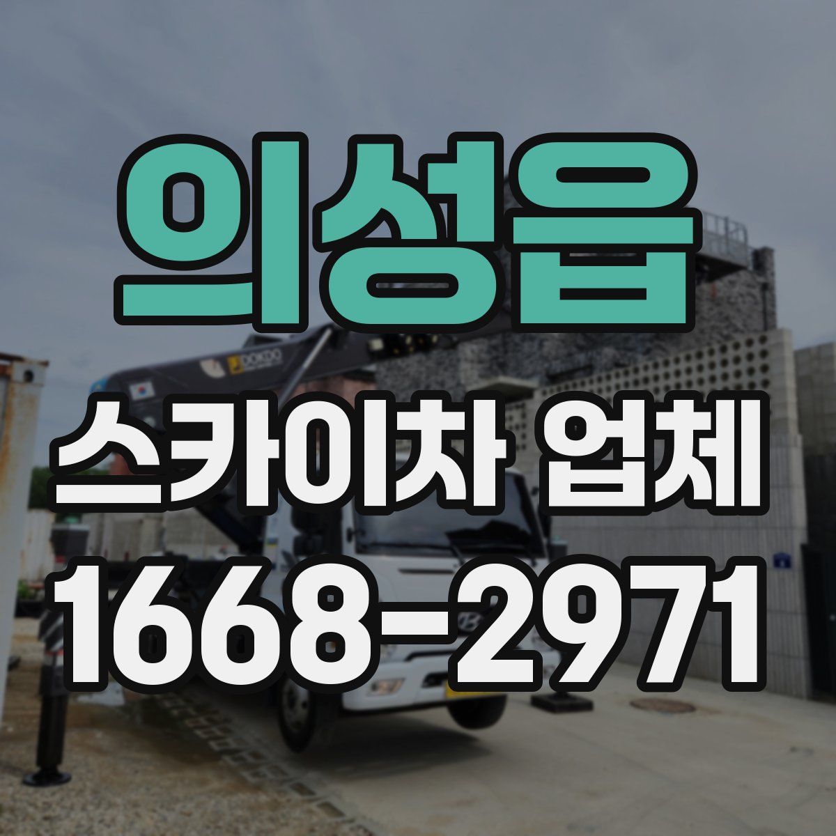 의성읍 스카이차 업체