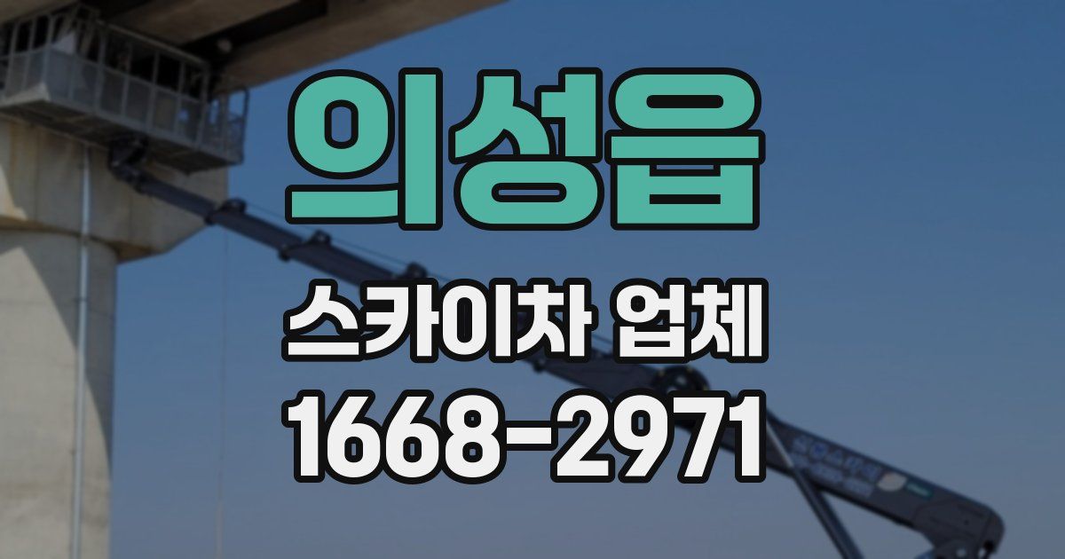 의성읍 스카이차 업체