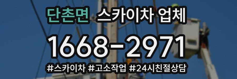 단촌면 스카이차 업체