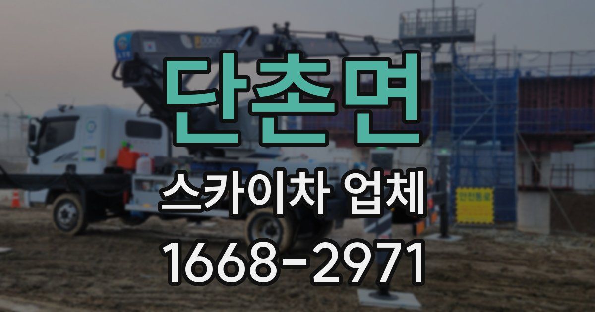 단촌면 스카이차 업체