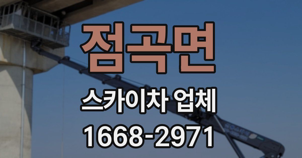 점곡면 스카이차 업체