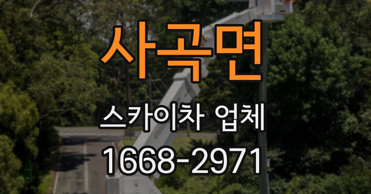 사곡면 스카이차 업체