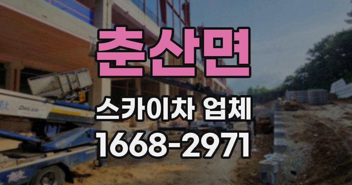 춘산면 스카이차 업체