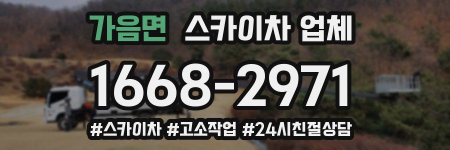 가음면 스카이차 업체