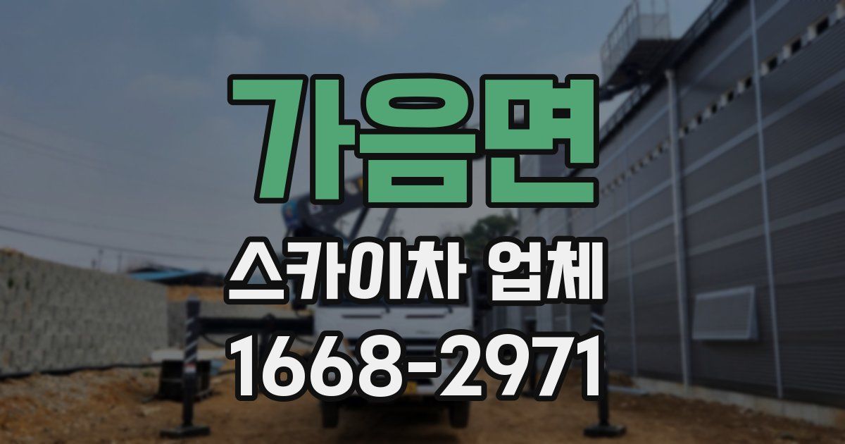가음면 스카이차 업체
