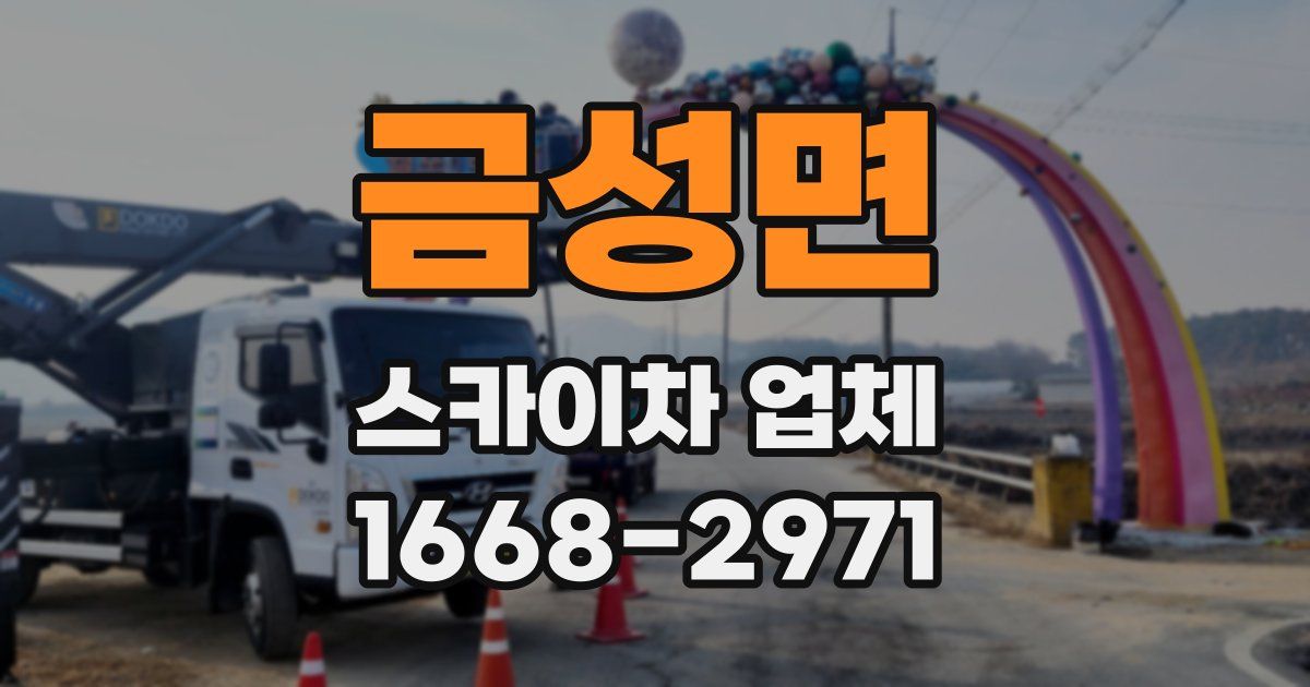금성면 스카이차 업체